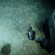 Illustration for article titled The First Pictures of Life in the Deepest Ocean Vents Ever Discovered